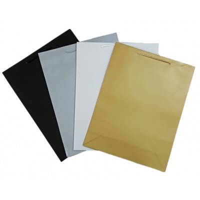 Пакет бумажный ОДНОТОННЫЙ 4 цвета(20*25*9см) 12шт,уп KZ-20259